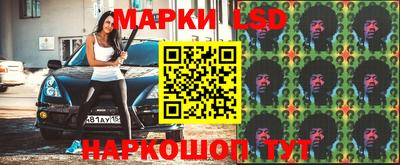 сатива Моздок