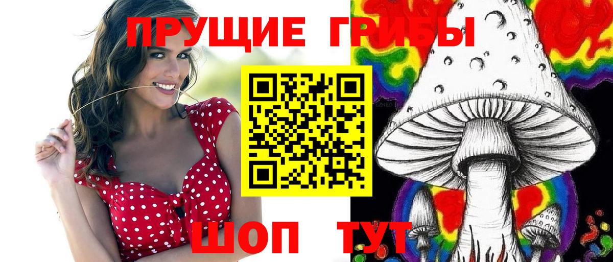 Галлюциногенные грибы Psilocybe  Вход с VPN  Чусовой  Галлюциногенные грибы Psilocybine cubensis 