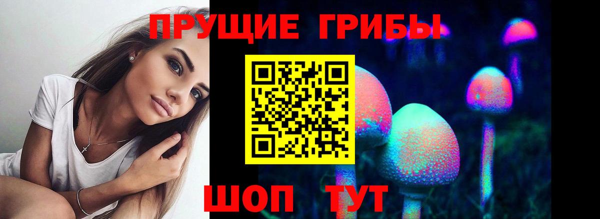 Псилоцибиновые грибы GOLDEN TEACHER Чусовой